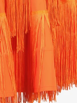 Robes De Danse Latine Orange Femmes Robe Frange Danseuse Latine Costume De Danse