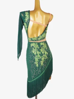 Robes De Danse Latine Vert Foncé Femmes Strass Frange Une Épaule Nu Sexy Lycra Spandex Robe Danse Costume