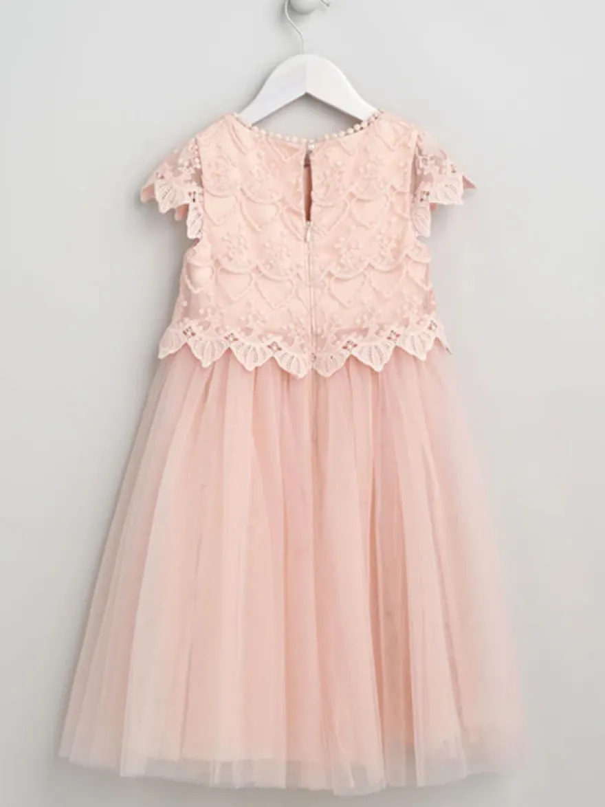 Robes de demoiselle d'honneur de mariage Robes d'occasion spéciale Rose pâle Manches courtes Dentelle