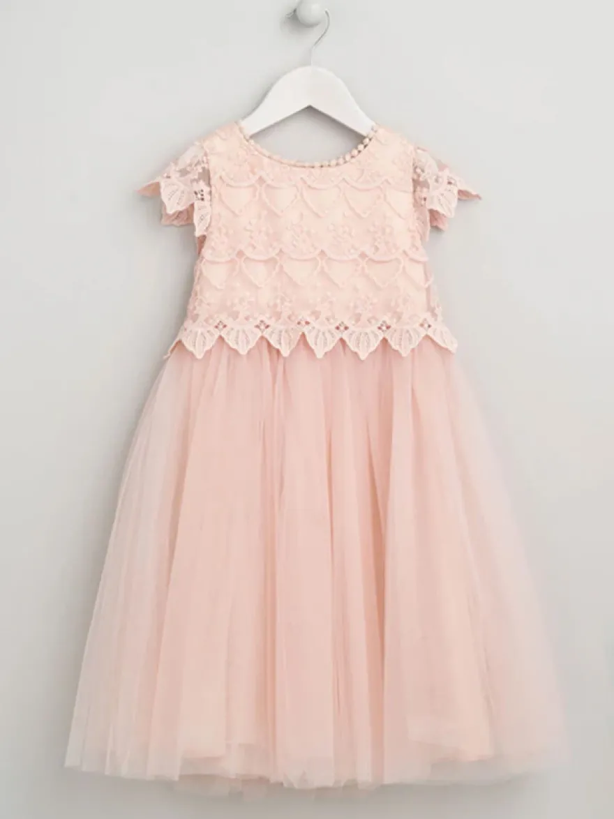 Robes de demoiselle d'honneur de mariage Robes d'occasion spéciale Rose pâle Manches courtes Dentelle