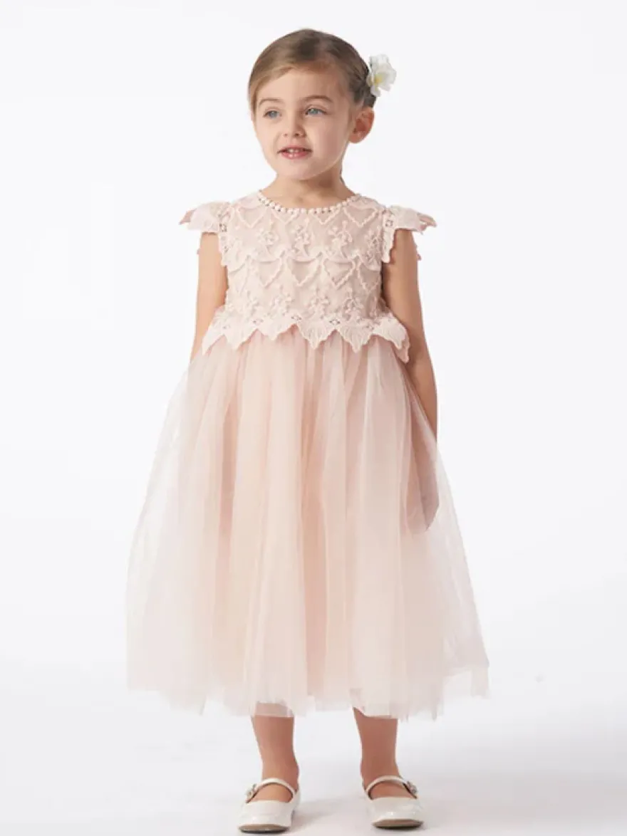 Robes de demoiselle d'honneur de mariage Robes d'occasion spéciale Rose pâle Manches courtes Dentelle