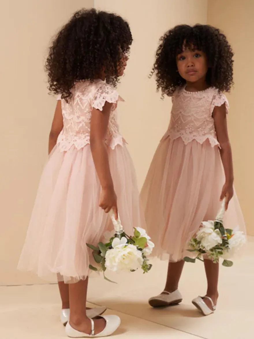 Robes de demoiselle d'honneur de mariage Robes d'occasion spéciale Rose pâle Manches courtes Dentelle