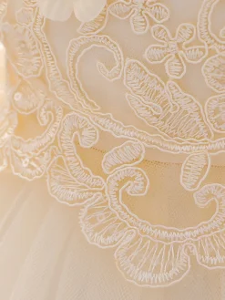 Robes de demoiselle d'honneur blanches robes d'occasion spéciale dentelle Champagne sans manches col bijou robes de demoiselle d'honneur