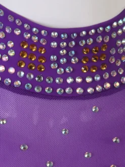 Salle de bal Costumes de danse Lycra Purple femmes Spandex Set robe de danse
