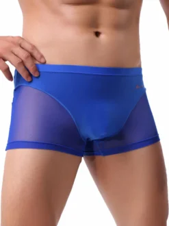 Short de boxe sexy en nylon semi-transparent pour hommes