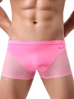 Short de boxe sexy en nylon semi-transparent pour hommes