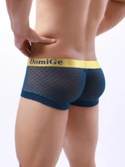Slip Sous-Vêtement Athlétique Pour Homme En Nylon Transparent