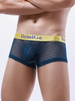 Slip Sous-Vêtement Athlétique Pour Homme En Nylon Transparent