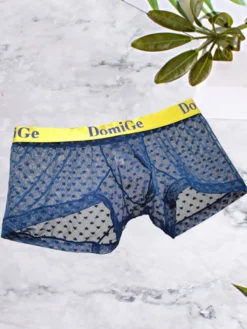 Slip Sous-Vêtement Athlétique Pour Homme En Nylon Transparent