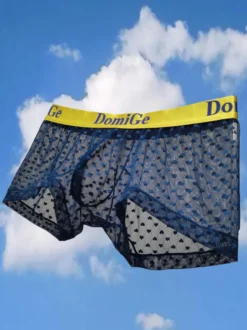 Slip Sous-Vêtement Athlétique Pour Homme En Nylon Transparent