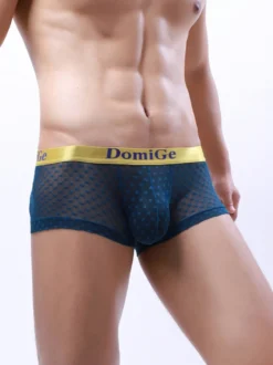 Slip Sous-Vêtement Athlétique Pour Homme En Nylon Transparent