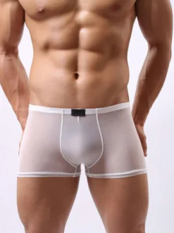 Sous-vêtement Lingerie Sexy Homme Culottes Elastique Transparentes Unicolore Blanc Sexy