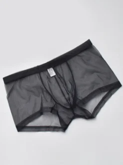 Sous-vêtements Lingerie Homme Lingerie Homme Sexy Culotte Transparente Ture Rouge Lingerie