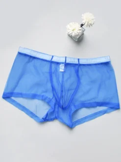 Sous-vêtements Lingerie Homme Lingerie Homme Sexy Culotte Transparente Ture Rouge Lingerie
