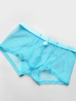 Sous-vêtements Lingerie Homme Lingerie Homme Sexy Culotte Transparente Ture Rouge Lingerie
